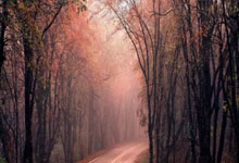 法国球员姆巴佩荣获欧洲金球奖，个人全面实力受肯定