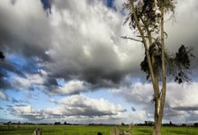 福建外援出色表现:帕森斯砍下40+助球队击败江苏