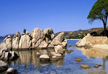 法国球员姆巴佩荣获欧洲金球奖，个人全面实力受肯定