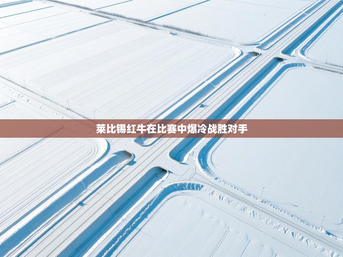 莱比锡红牛在比赛中爆冷战胜对手